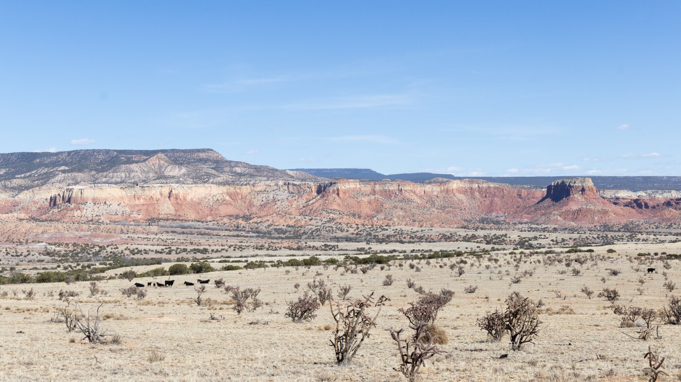 Legado de Georgia O'Keeffe reexaminado 40 anos após sua morte: NPR